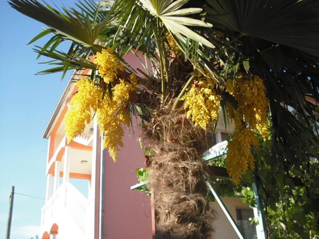 Apartment Fazanska Cesta Pula